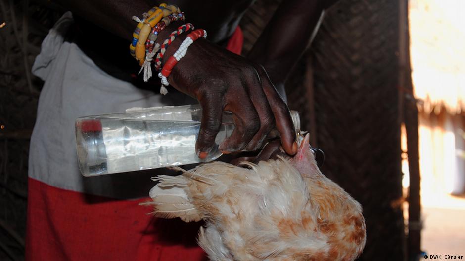 Multiplication des crimes rituels au Bénin  : Un vrai défi pour le Comité des rites vodoun